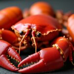 Langouste vs Homard : Comprendre les différences clés entre ces crustacés majestueux